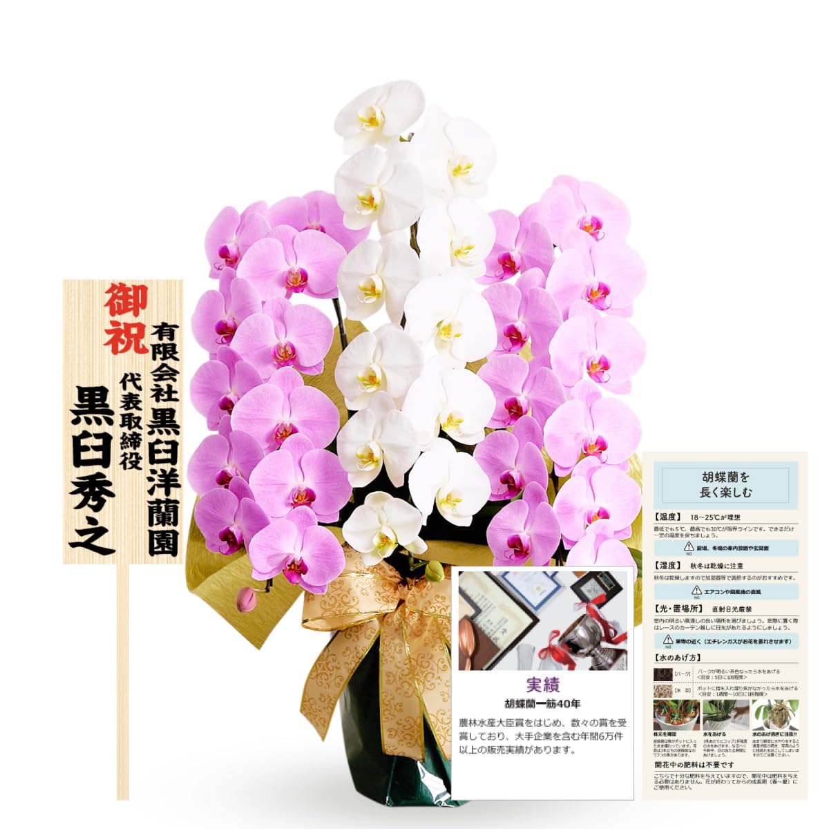 Amazon.co.jp: 胡蝶蘭専門店らんや 生花 白＆ピンク 大輪 MIX 3本